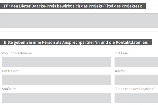 Screenshot des Bewerbungsformulars für den Dieter Baacke Preis.