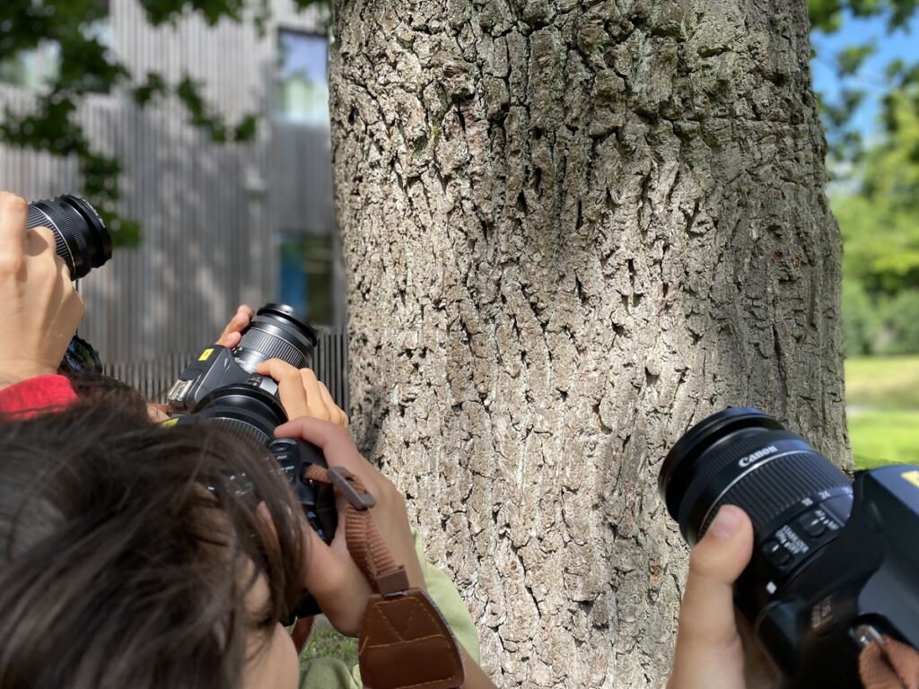 Kinder fotografieren einen Baum