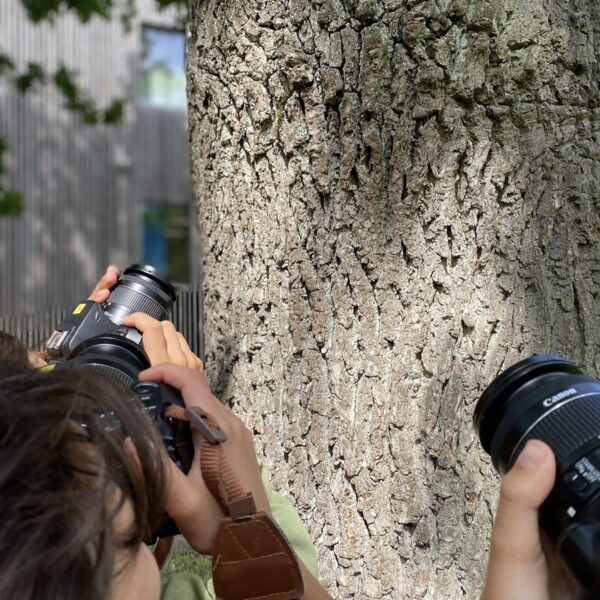 Kinder fotografieren einen Baum
